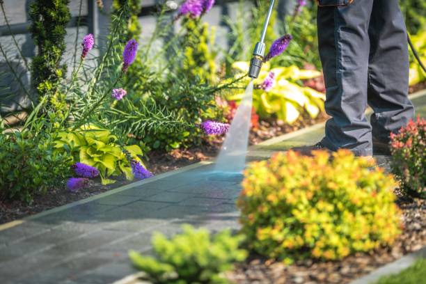 Professional Pressure Washing Services in Germantown Hills, IL