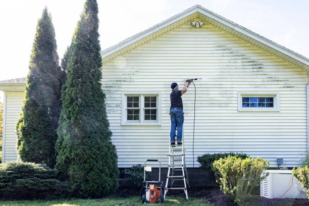 Best Sidewalk and Walkway Pressure Cleaning in Germantown Hls, IL